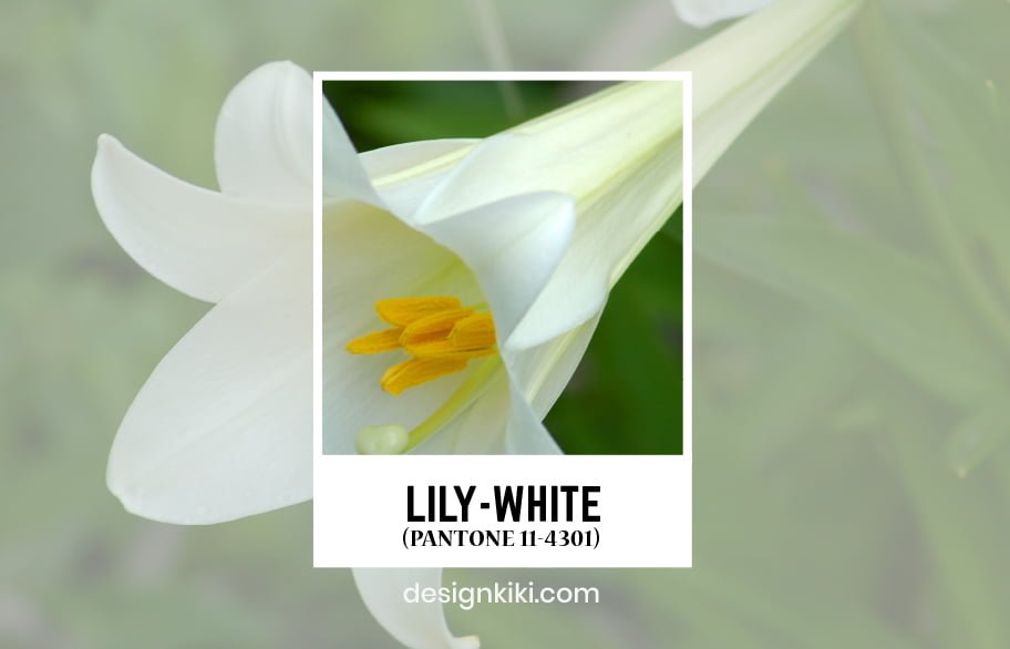 Pantone lily white color
