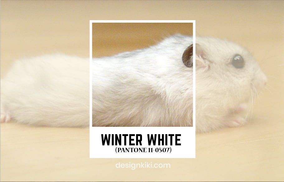 winter white-pantone