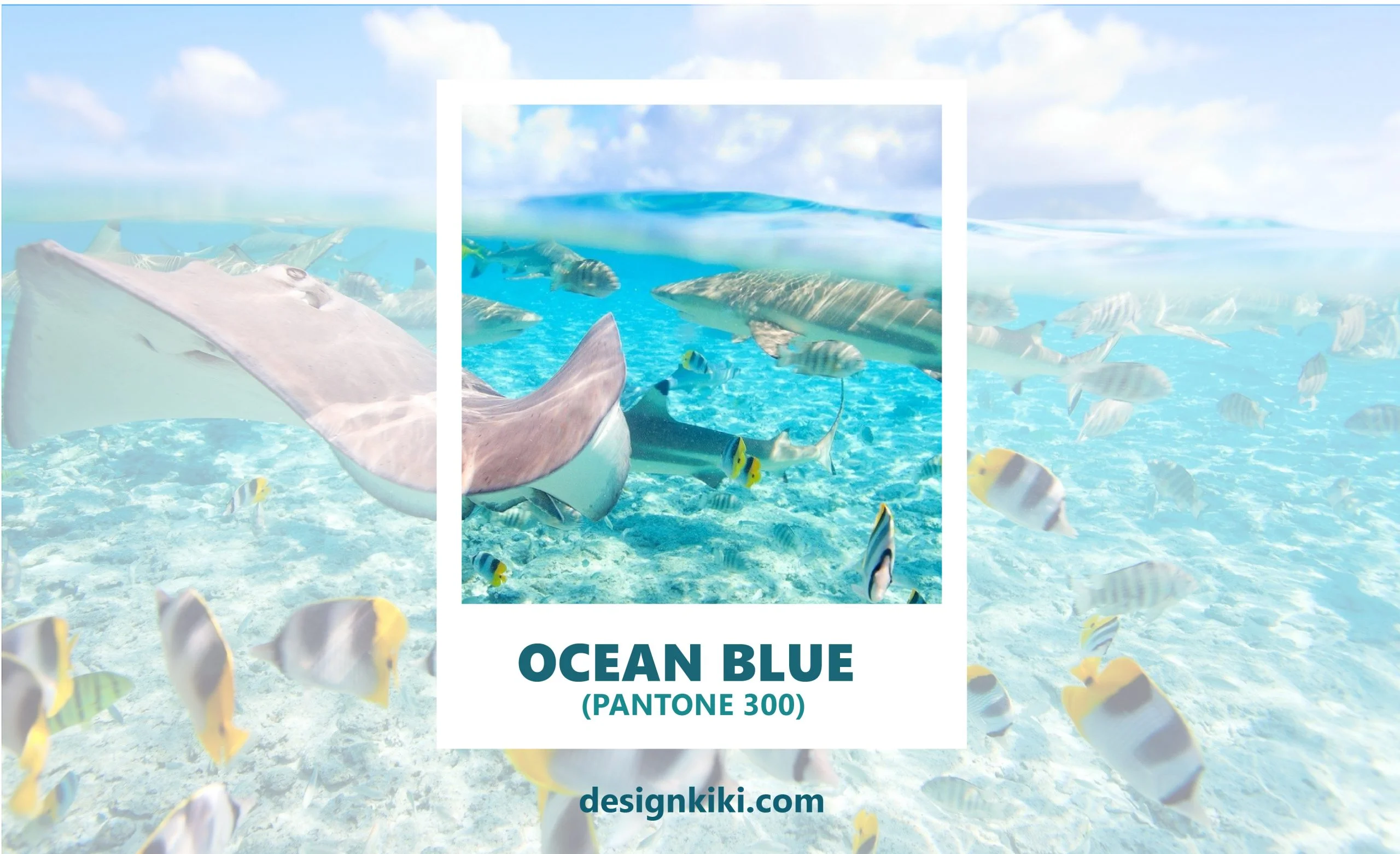 ocesn blue, pantone