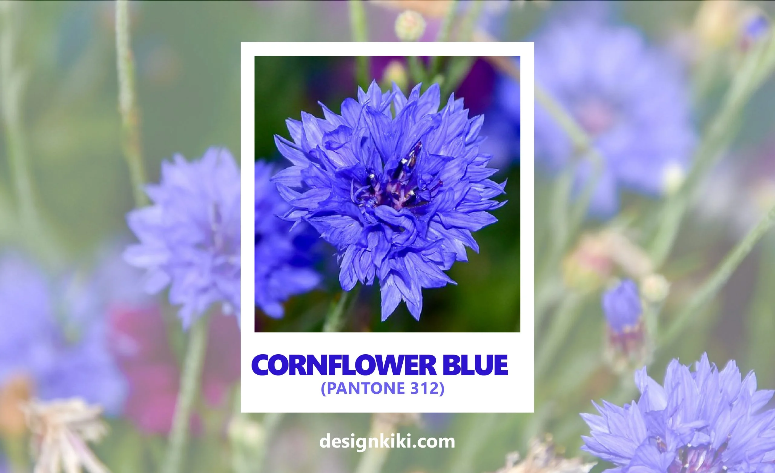 best shades of blue