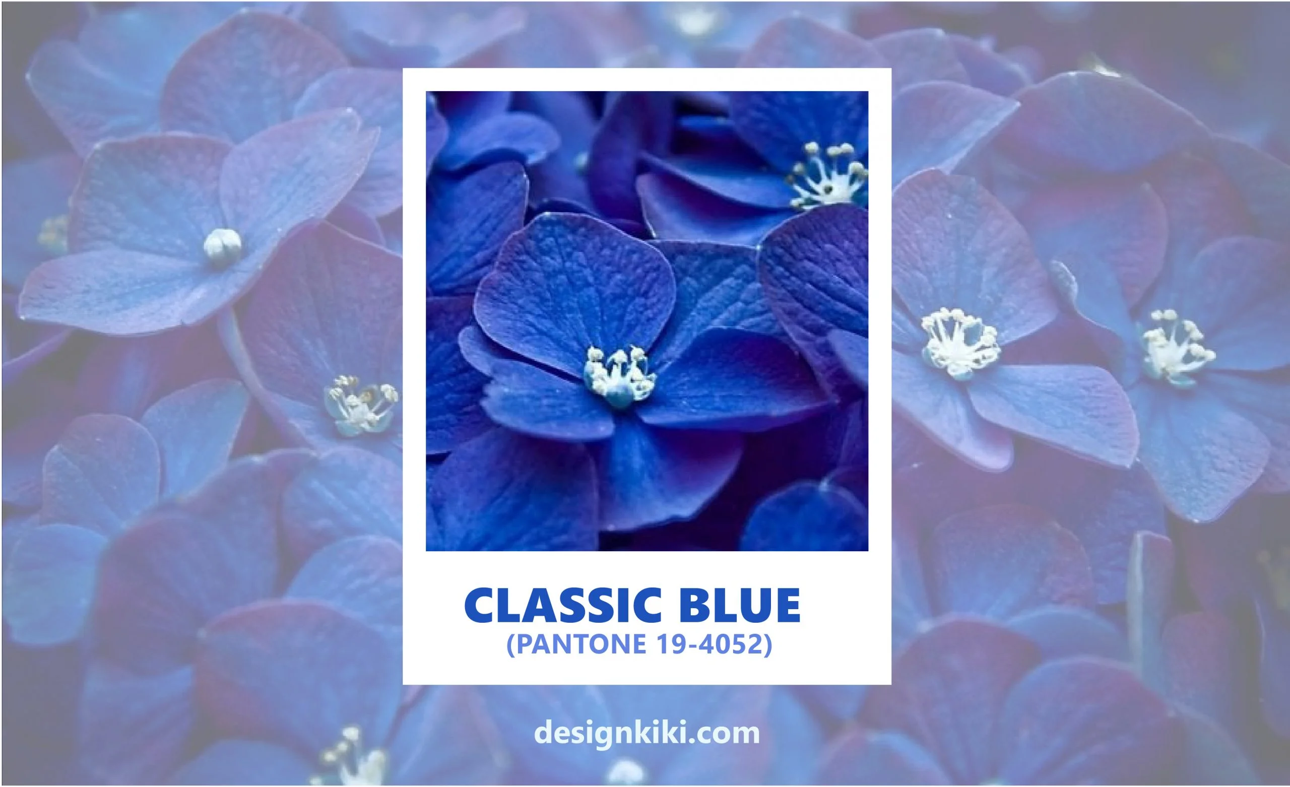 classic blue color