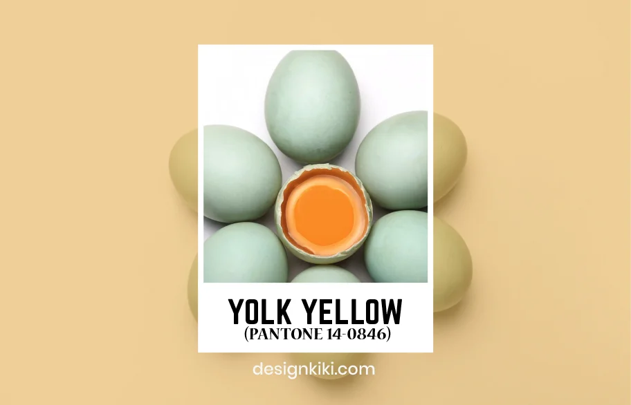 yolk yellow