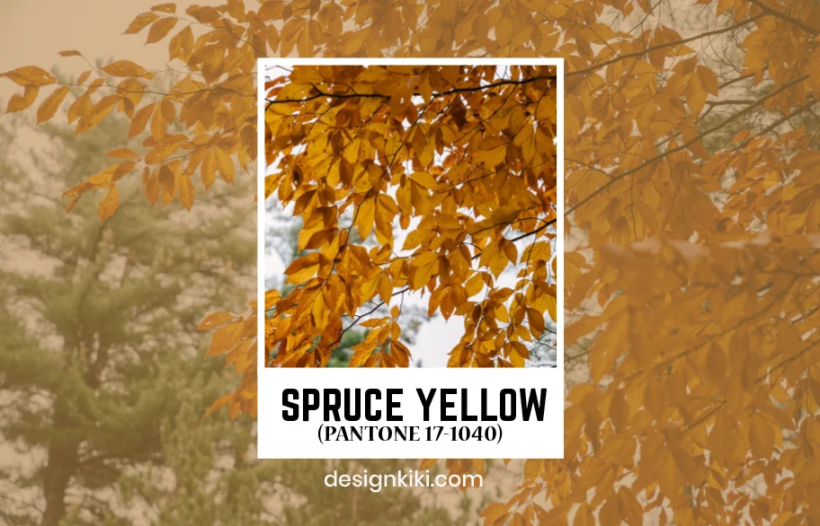 spruce yellow- best shades of yellow